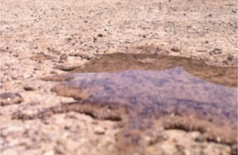 Saiba mais sobre a impermeabilização do solo